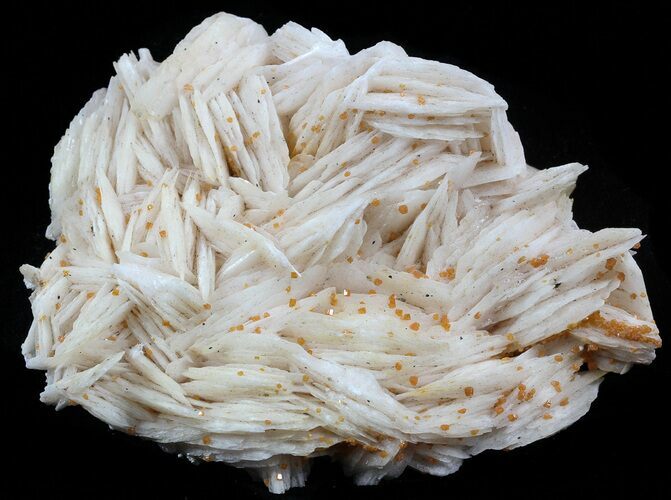 Tiny Vanadinite Crystals On Pink Bladed Barite - Morocco #57254